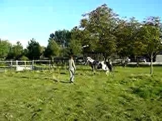 Joyeux longe main gauche 30 sept. 06