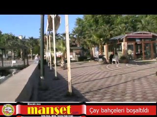 Erdek'te çay bahçeleri