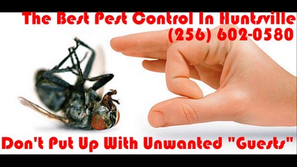 The Very best Pest Control In Huntsville.  Phone Today