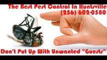 The Very best Pest Control In Huntsville.  Contact Right now