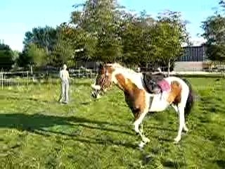 Joyeux longe main droite 30 sept. 06