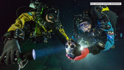 Hoyo Negro: A time capsule &apos;unequaled&apos;