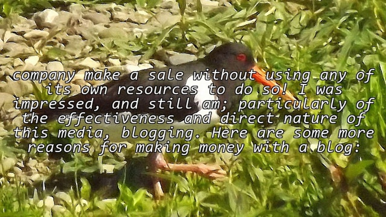 Make Money With your blog - Why Are Blogs Profitable