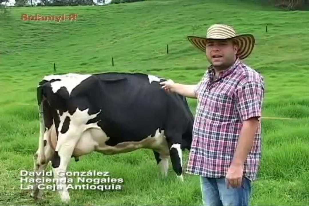 30 de abril de 2014 Caballos cuarto de milla