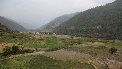 Search Engine Optimisation: One Link is Better than Ten