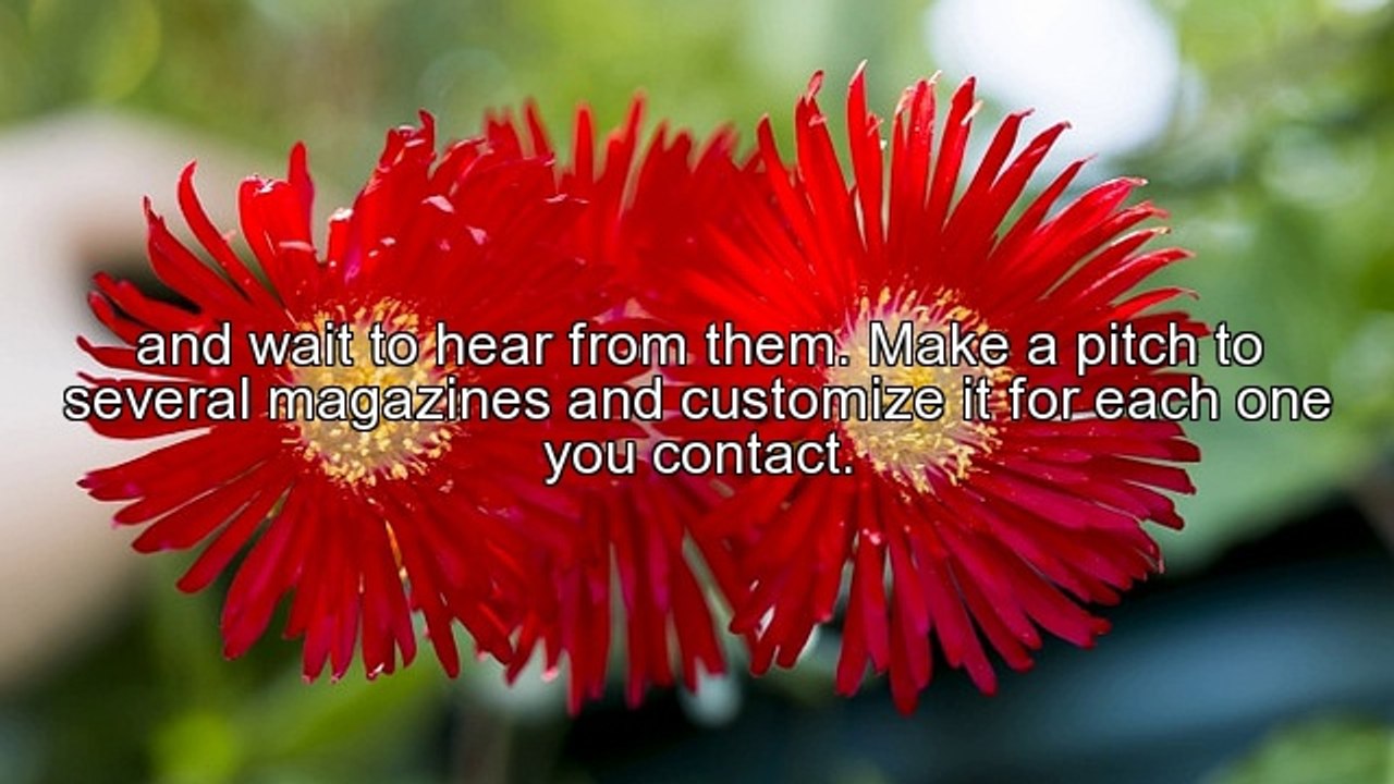 Attention Women Authors! Get Your Articles Noticed by Magazine Editors