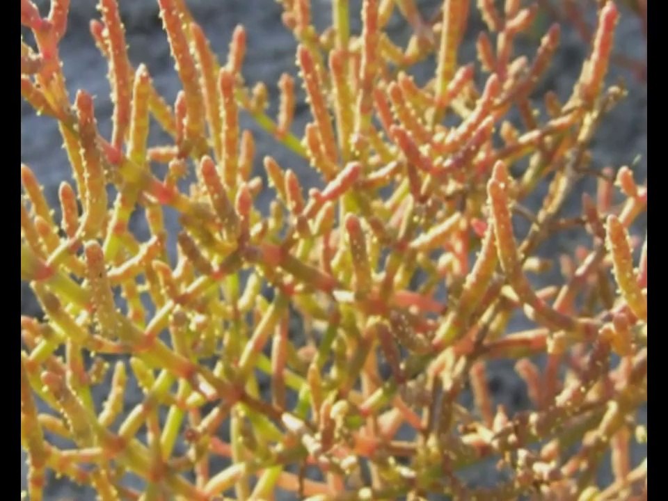 Wyprawa rowerowa na Krym 2012 część 2