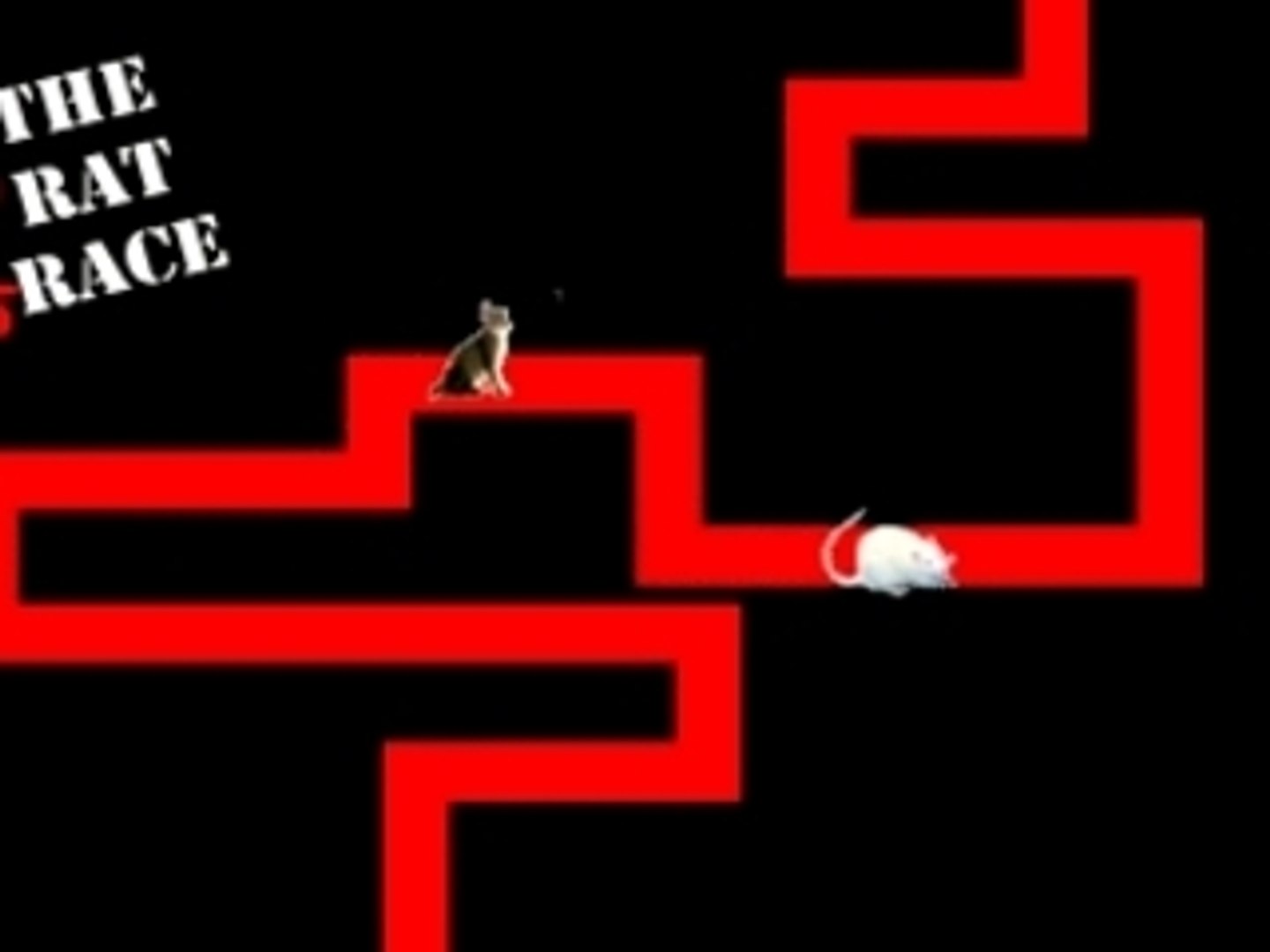 Rat race