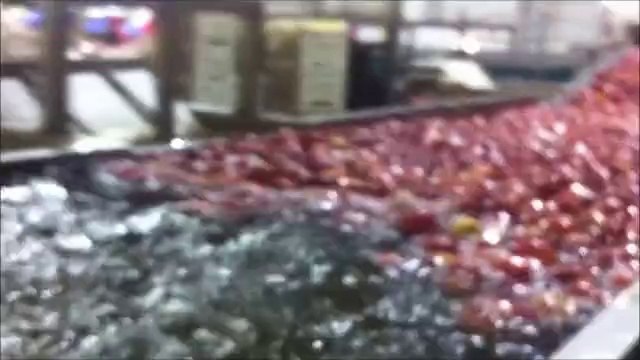 SS YAZIR KÖYÜ TARIMSAL KALKINMA KOOPERATİFİ ELMA TESİSİ