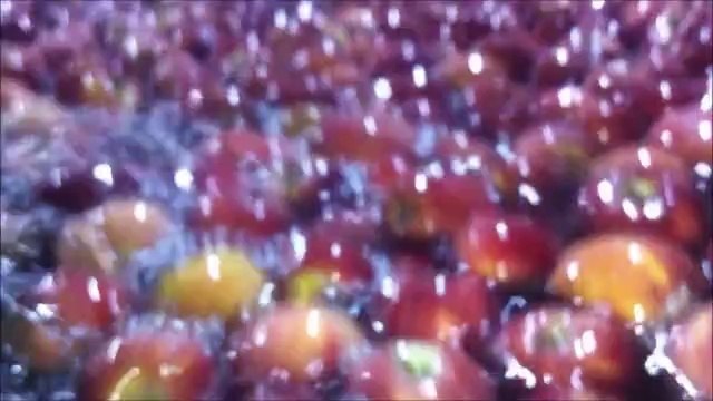 SS YAZIR KÖYÜ TARIMSAL KALKINMA KOOPERATİFİ TESİSLERİ