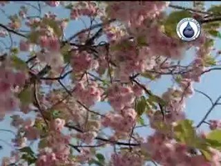 Aao Hamd O Sana (Shahnaz Gill)