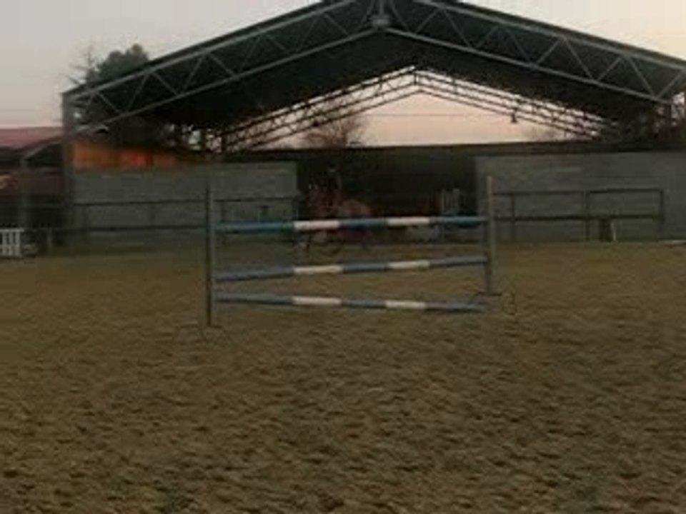 MVI_1696