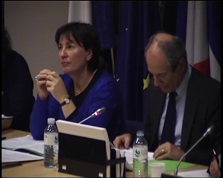 Communication sur l’accès à l’avocat de M. Guy Geoffroy et de Mme Marietta Karamanli - Mardi 29 Novembre 2011