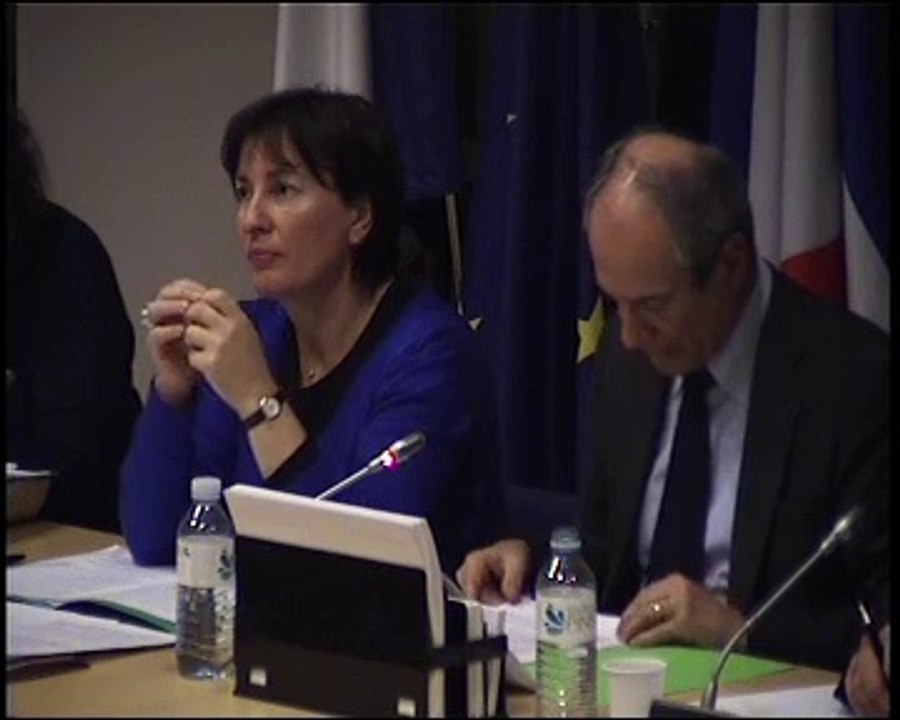 Communication sur l’accès à l’avocat de M. Guy Geoffroy et de Mme Marietta Karamanli  - Mardi 29 Novembre 2011