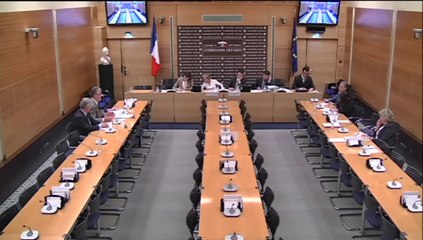 M. Jean-Paul Delevoye, Pdt du Conseil économique, social et environnemental - Jeudi 15 Mai 2014