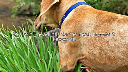 tips for better webdesign