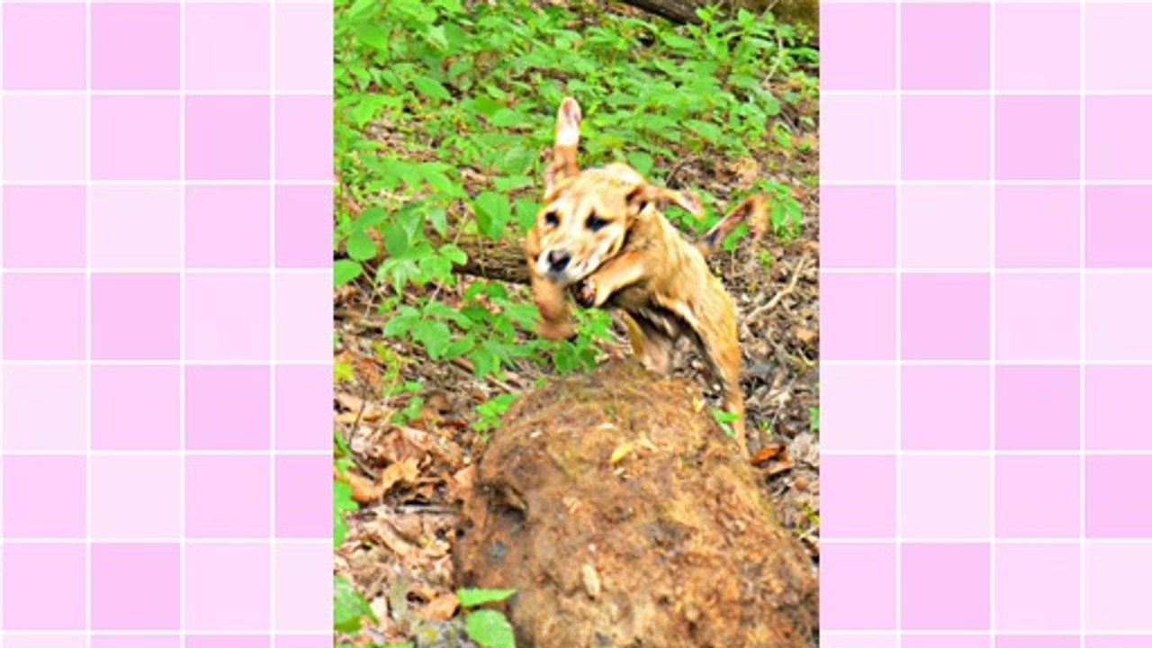 Problogging: Making Money From Blogs Starting Now!