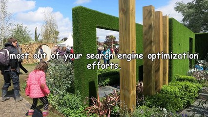 Holistic Search Engine Optimization