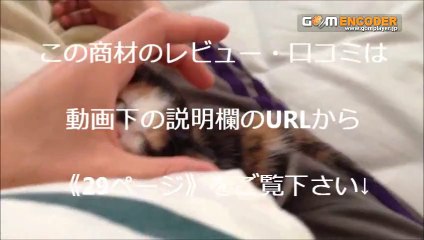 あなたをもっと美しくするメンタル術　実践 評価 評判 検証 動画 ブログ 特典 購入 レビュー