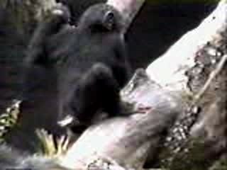 doigt qui pue du cul