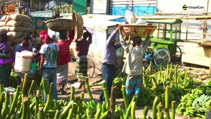 banglalink: M-Agriculture Services for Bangladeshi Farmers