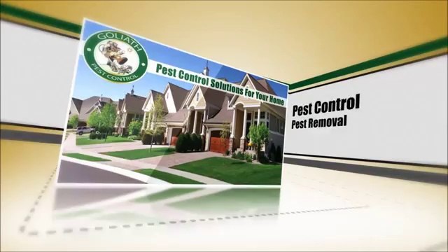 Exterminator Orlando - Goliath Pest Control - (407) 326-6720 - YouTube