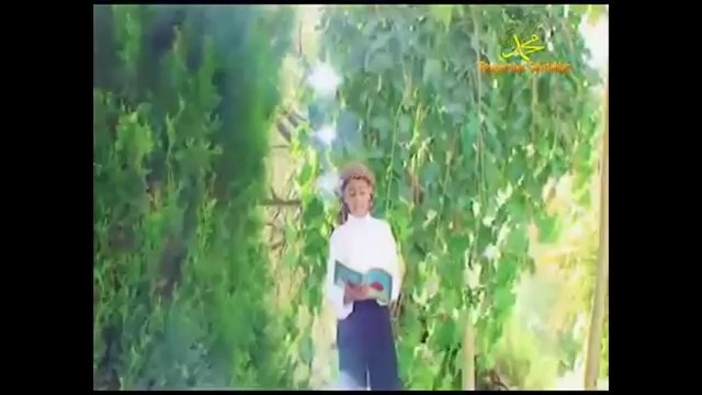 Kürtçe Mevlidi Şerif Dinle