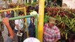 Campesinos hondureños piden mejoras
