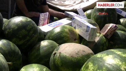 Karpuz Kamyonunda 87 Bin Paket Kaçak Sigara
