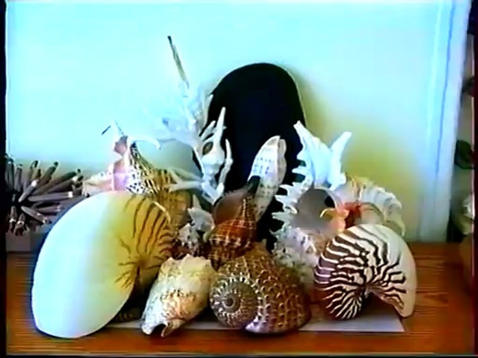 Souvenirs NOUVELLE CALÉDONIE 1997 (4/4)