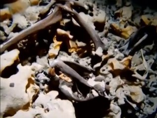 Ancient skeleton shedding light on first Americans