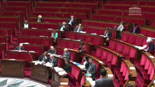 Interventions en séance sur le projet de loi Economie sociale et solidaire