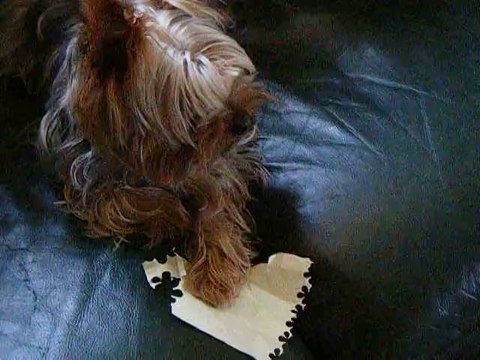 Hulk fait des fleurs aussi !