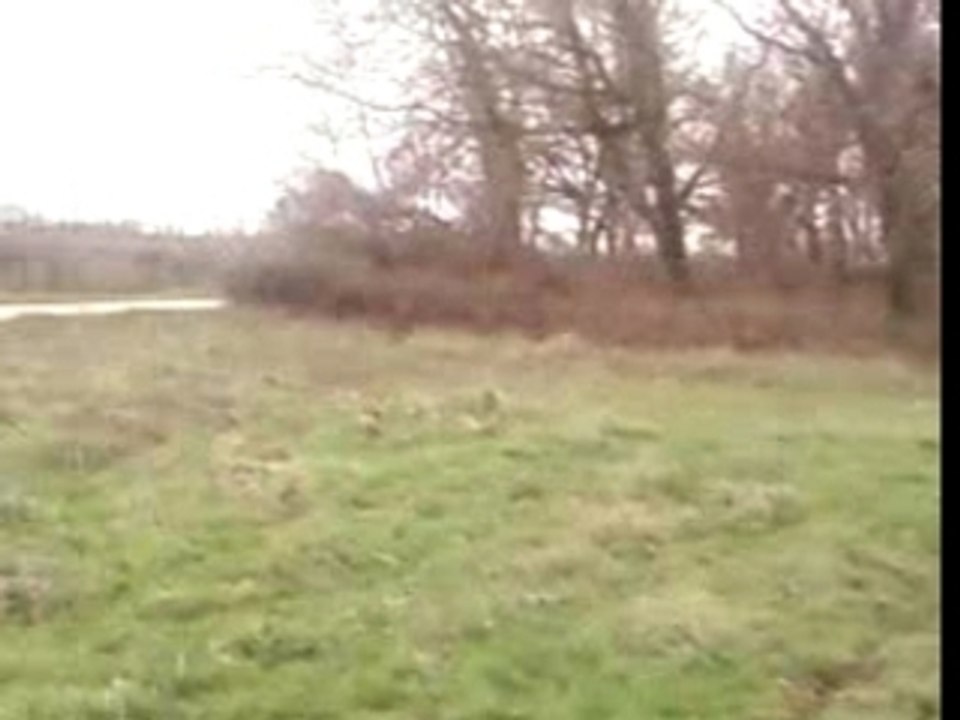 DIRTBIKE 145 RSR GREG