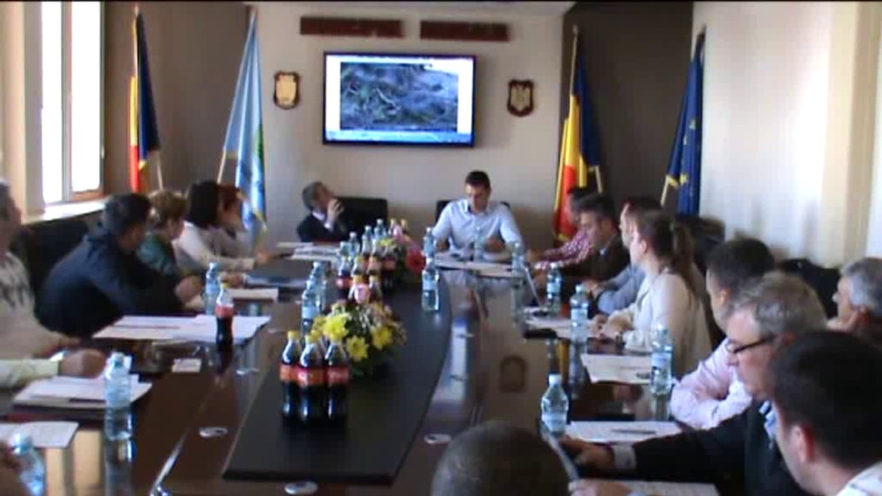 Consilierii locali nu au nimic impotriva taierii pomilor din mangalia