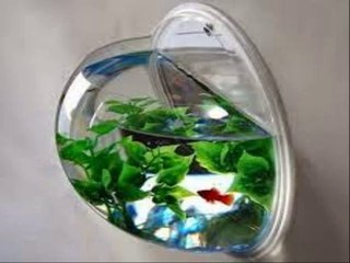 Wall Mount Fish Bubble Aquarium Bowl Tank
