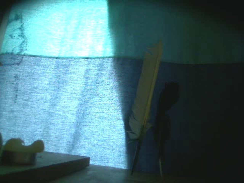 Trot, galop et hénissements (essai à l'harmonica diatonique)