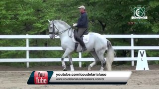 Cavalo Lusitano - Ventania IGS - Coudelaria Lusobrasileira - Casa Lusitana