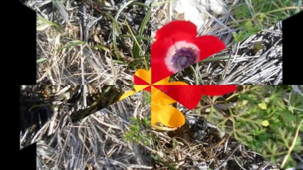 YENİKÖY KALE DENİZLİ