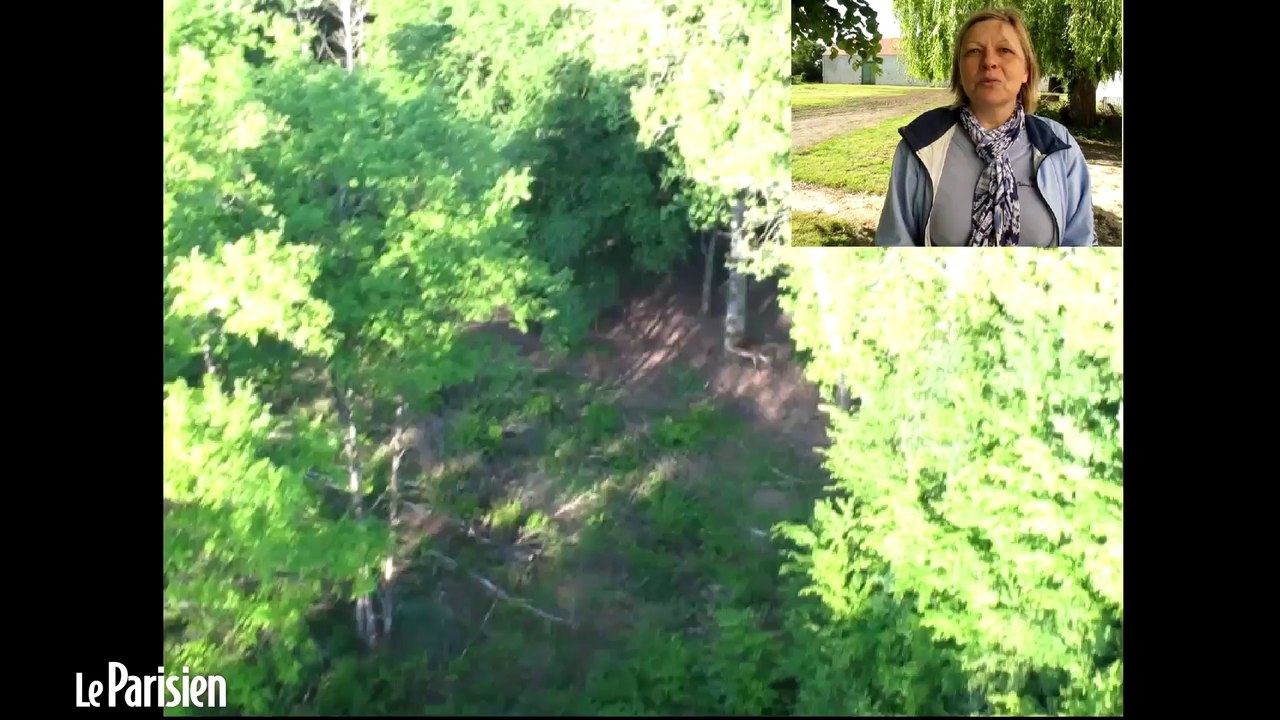 Yvelines : une ferme à ballons dirigeables en Vallée de Chevreuse