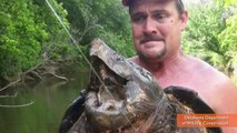 Giant Alligator Snapping Turtle Fished from Lake