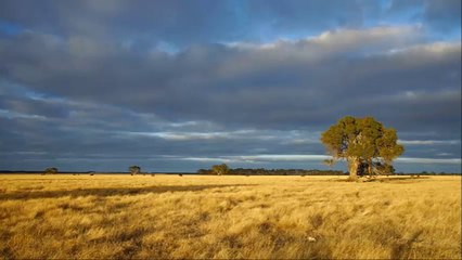 The 2x7 Building Blocks Of The OneBiz Traffic Network