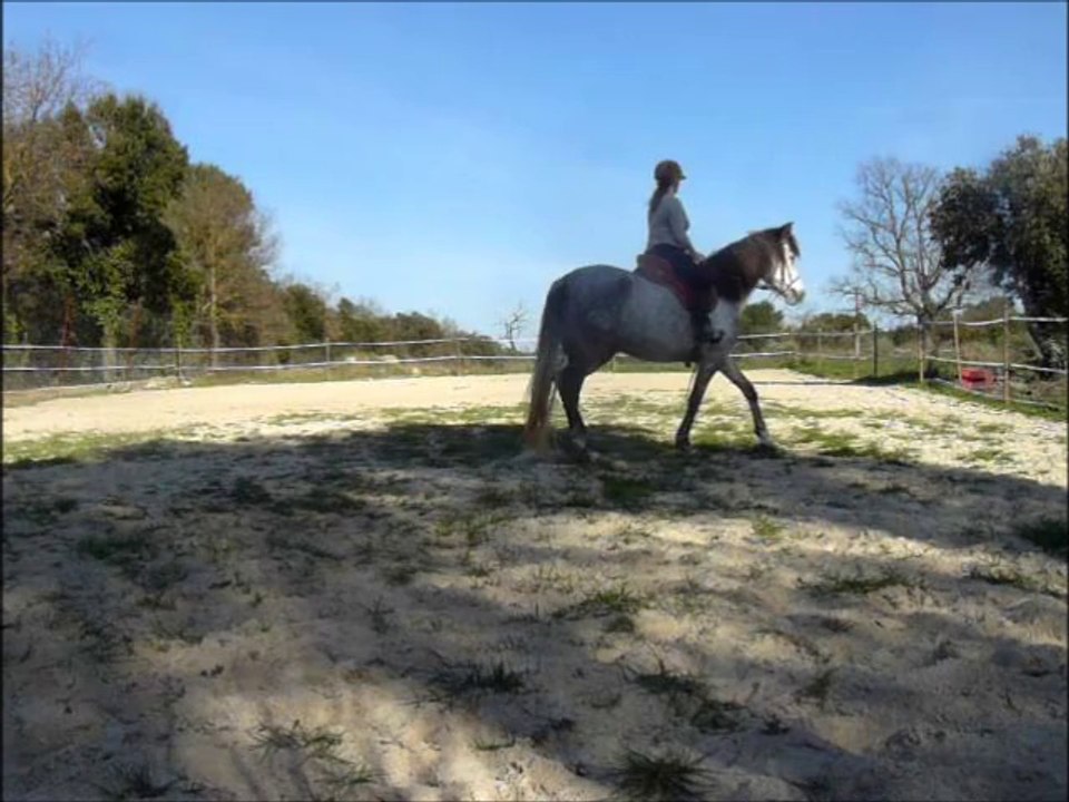 Nubia Avril 14 + easy