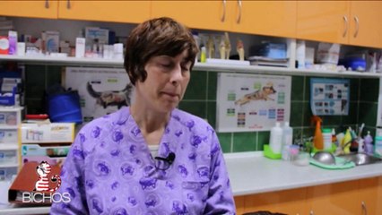 CLINICA VETERINARIA BICHOS " Gastronomia Animal"