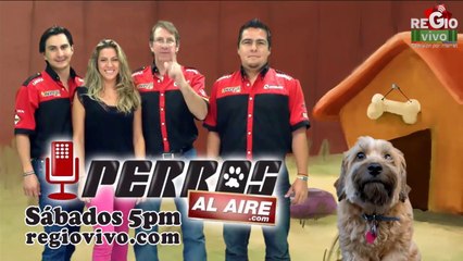 NOTICIERO VESPERTINO 16 DE MAYO DEL 2014