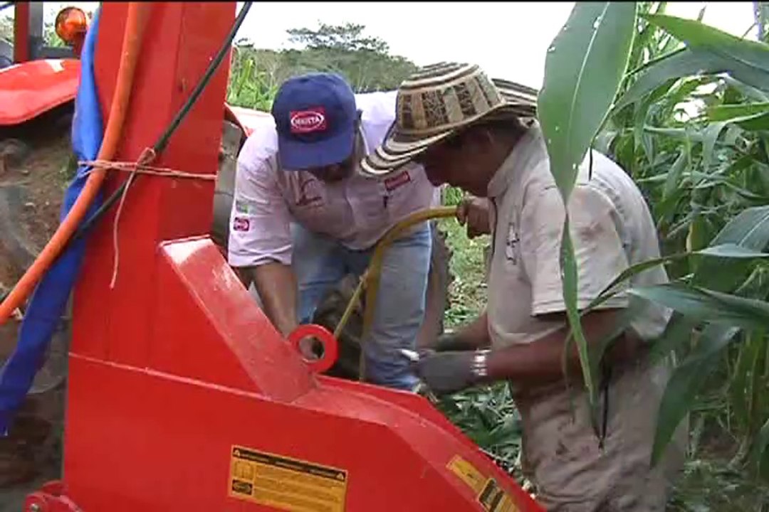 6 de Mayo Hda Brucelas Tame - Arauca