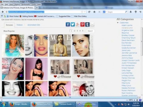 Bulk image Downloader Full Version - Flickrhivermind - Photobucket - Deviantart Galleries Pics Downloads