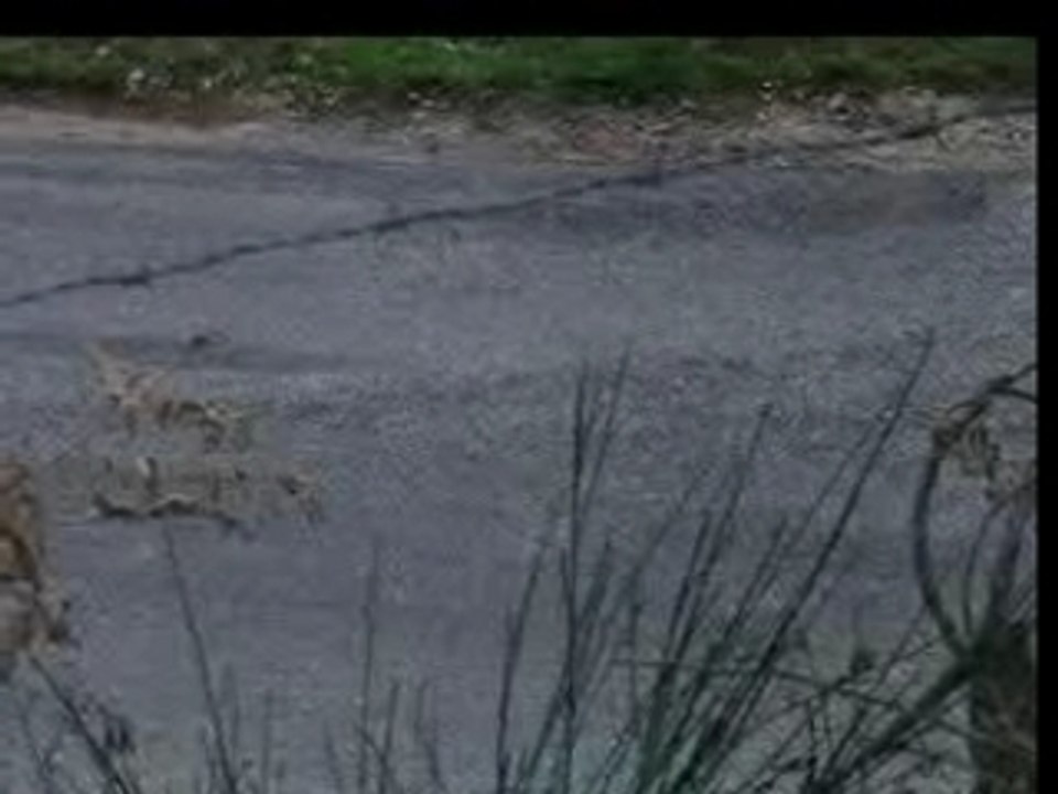 Monté-Carlo-Spéciale-11