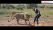 Aslanlarla Futbol Maçı Yapan Van Gils Erkeği