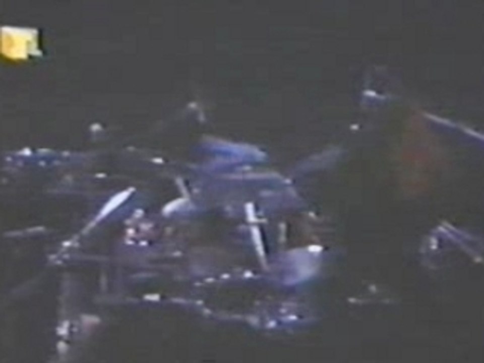 Sanctuary-White Rabbit (20.05.88)